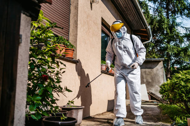 Best Best Pest Control Companies  in Beloit, OH