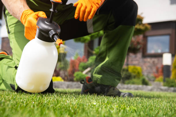 Best Exterminator Services  in Beloit, OH