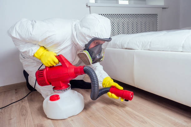 Best Pest Removal Services  in Beloit, OH