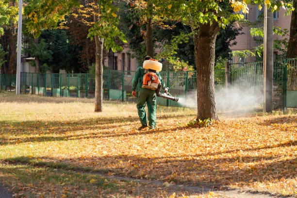 Best Commercial Pest Control Services  in Beloit, OH