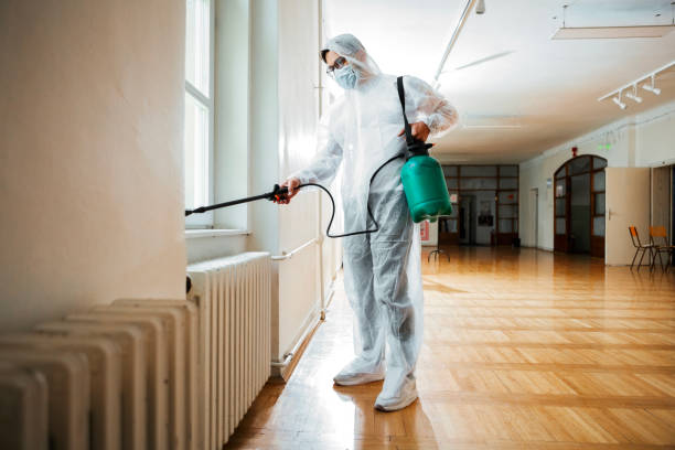 Best Pest Prevention Services  in Beloit, OH